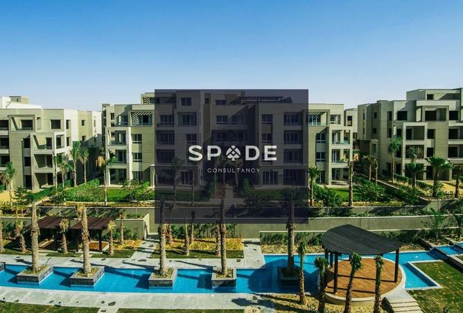 8589531 - Property Image 3