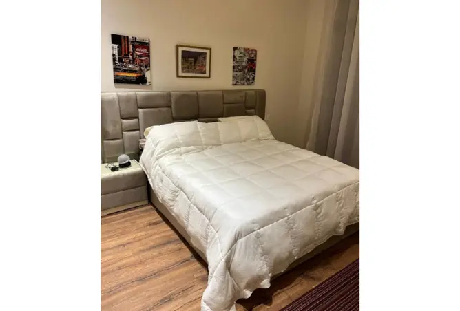 118553478 - Property Image 3