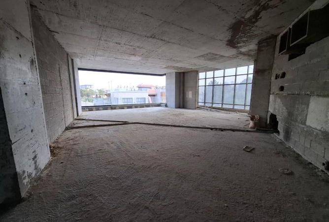 58245484 - Property Image 3