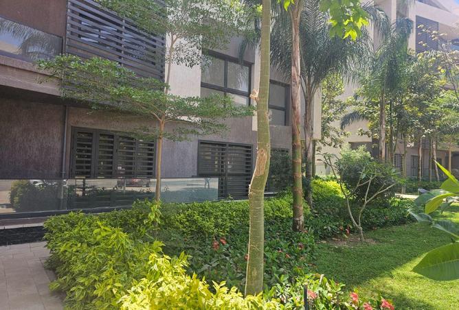 55255828 - الصورة الرئيسية للعقار