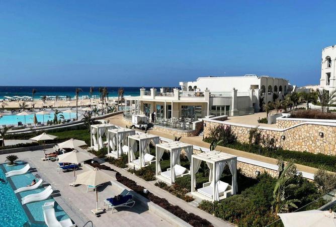 66167504 - Property Image 3