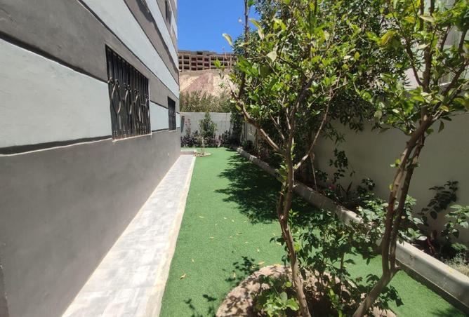 74322806 - صورة العقار 2