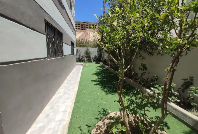 74322806 - صورة العقار 2