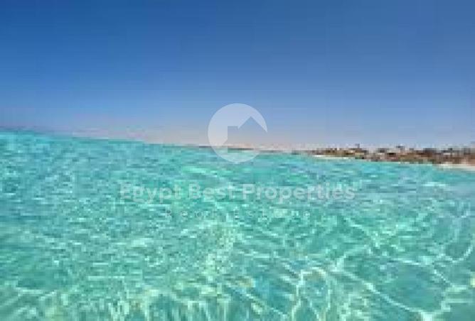 100931388 - صورة العقار 2
