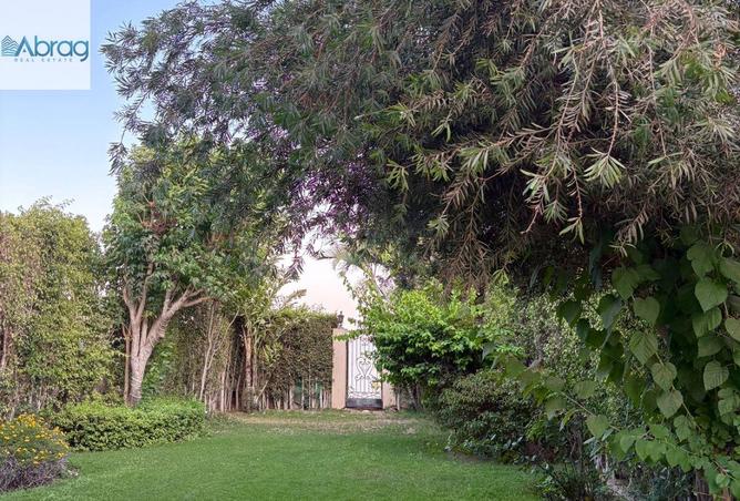 92136554 - صورة العقار 3