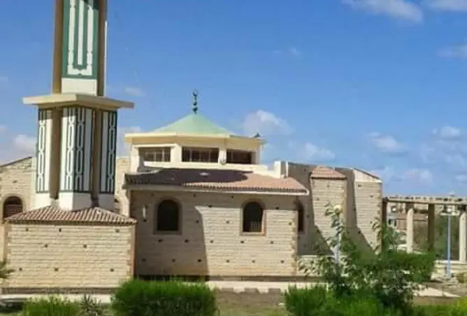 115165256 - صورة العقار 3