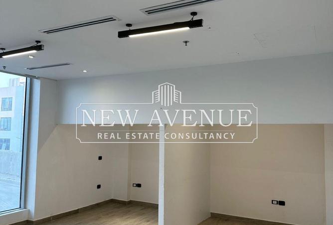 54229974 - Property Image 3