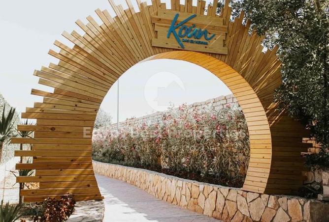 80273554 - صورة العقار 3