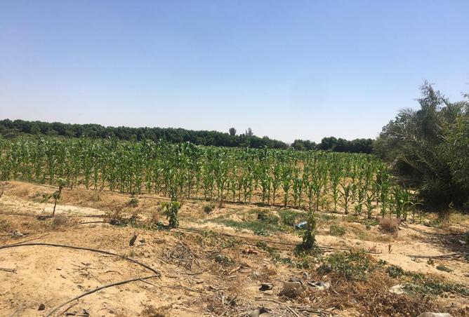 58735502 - صورة العقار 3