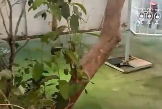 59501719 - صورة العقار 2