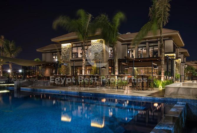 53731006 - Property Image 3