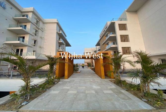 8706583 - صورة العقار 3