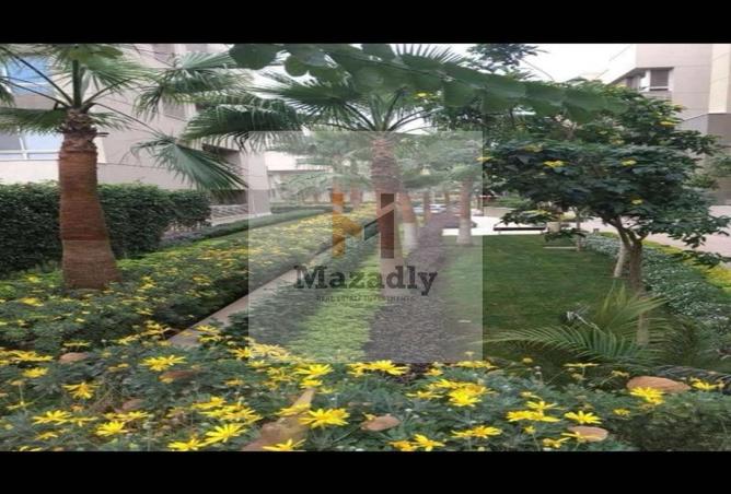 8605739 - Property Image 2