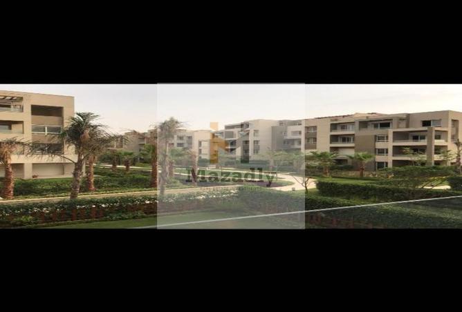 8605739 - Property Image 3