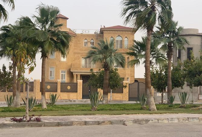 58244619 - صورة العقار 3