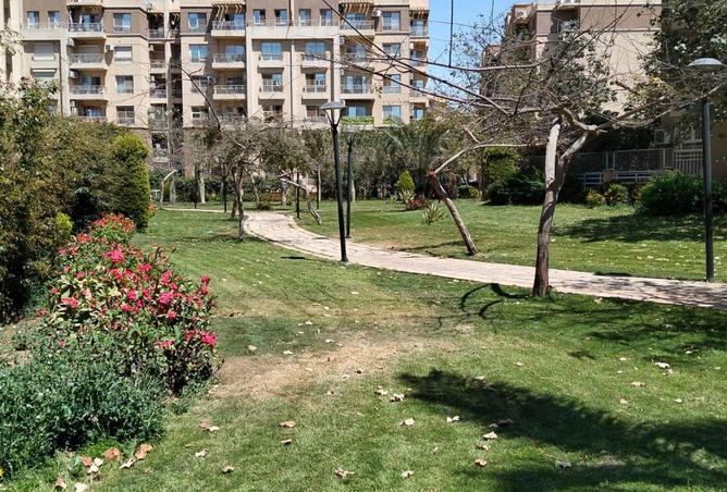 71656288 - صورة العقار 2