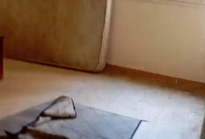 58254851 - صورة العقار 2