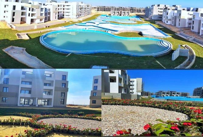 63890488 - Property Image 3