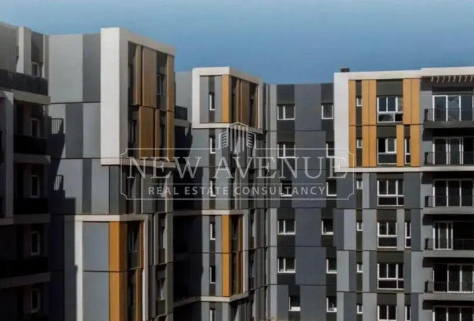 119317025 - Property Image 3