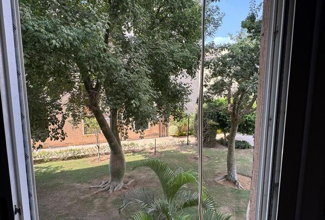 52723969 - صورة العقار 3