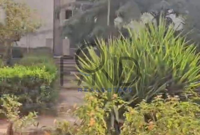 8442401 - صورة العقار 3