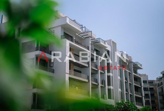 98547647 - Property Image 3
