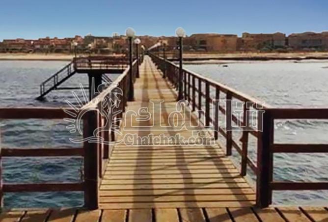 66433507 - صورة العقار 3