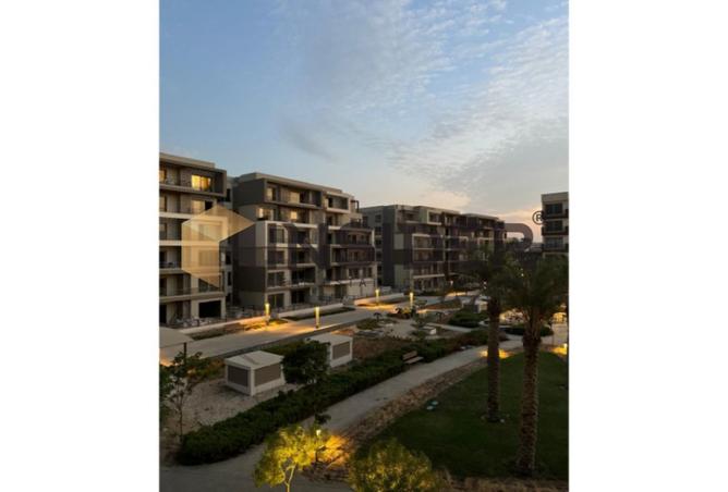 8448652 - Property Image 3