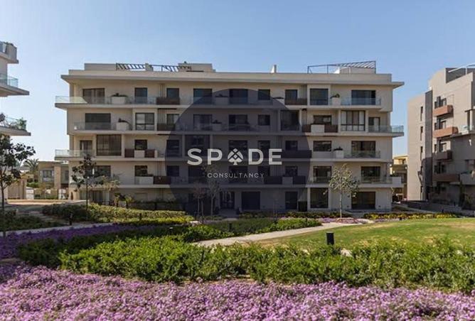 8717856 - Property Image 3