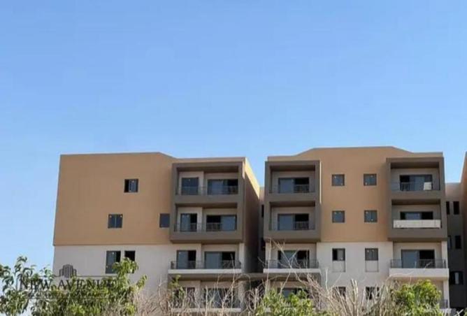 84784823 - Property Image 3