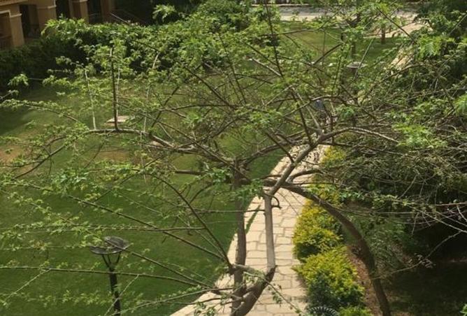 91864999 - صورة العقار 3
