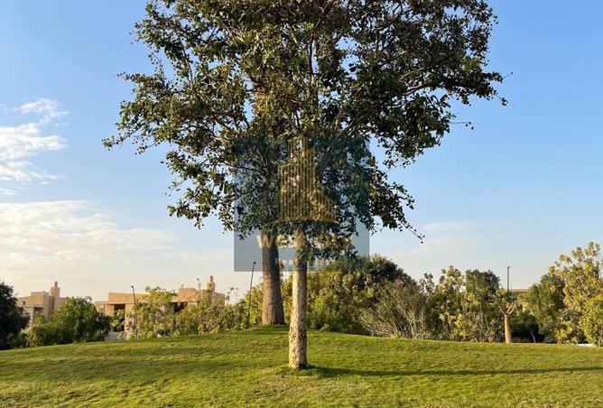 68259222 - Property Image 3