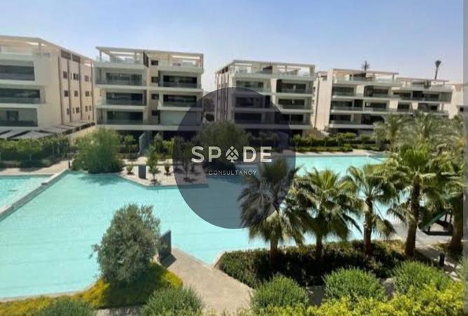 54489744 - Property Image 2