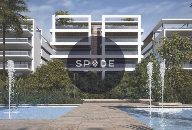 54489744 - Property Image 3