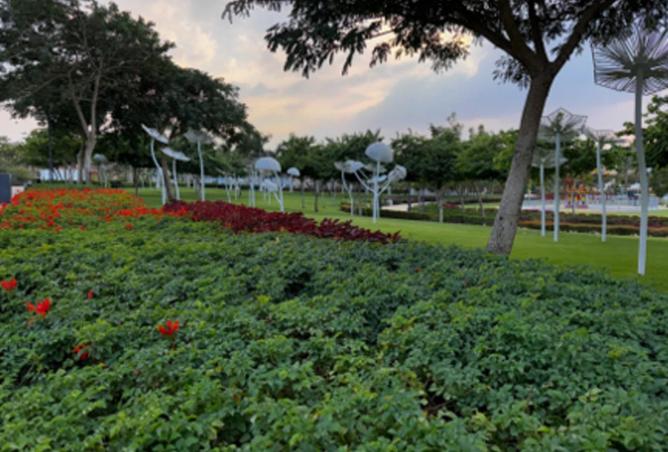 8581577 - Property Image 3