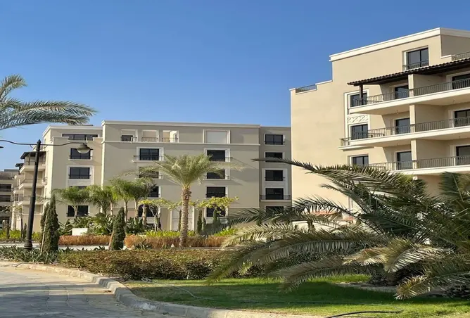 115444437 - Property Image 3